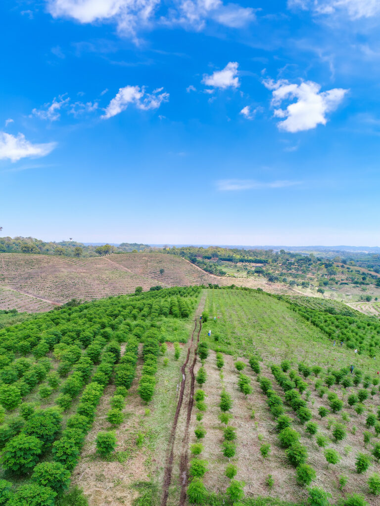 SANTAELENA-MORINGA-ECUADOR-1